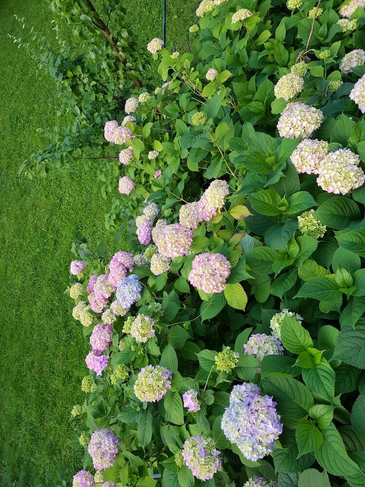 Pension Pan Haus Bad Ischl