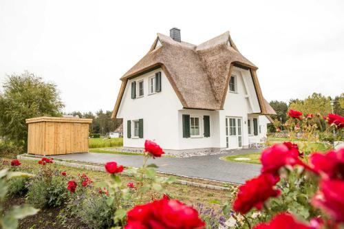 Ferienhaus Seeschwalbe 38