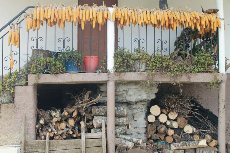 Casa Do Didi