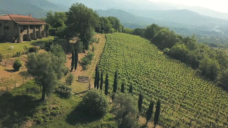 Agroturismo Azienda Agrituristica Ca' Del Bosco