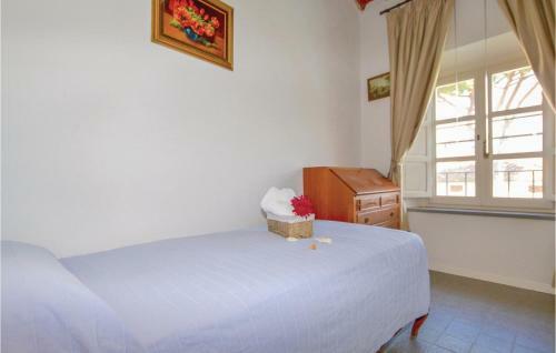Apartamentos Pettirosso