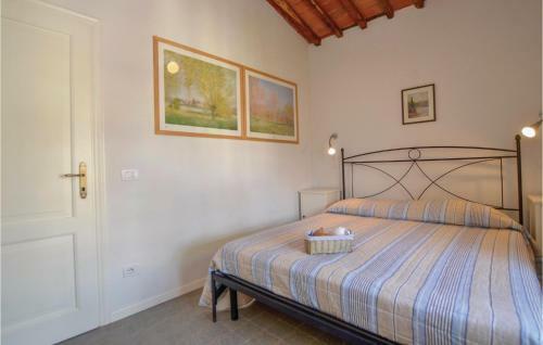 Apartamentos Pettirosso