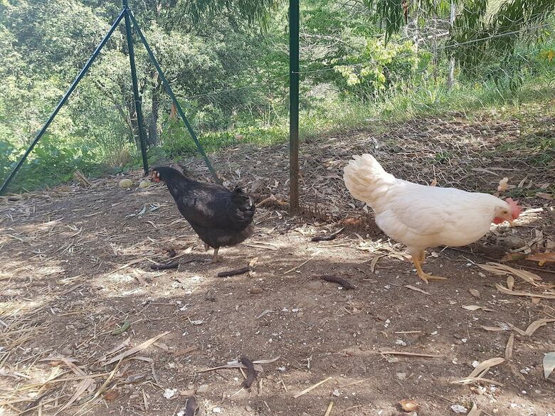 Bed & Breakfast Mas Des Ballats