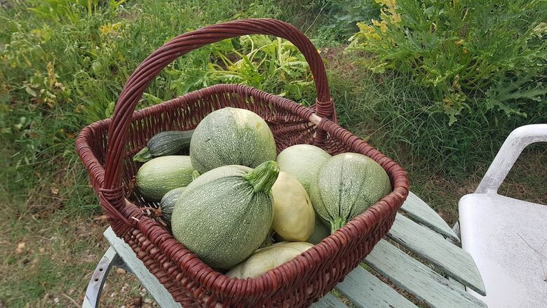 Bed & Breakfast Mas Des Ballats