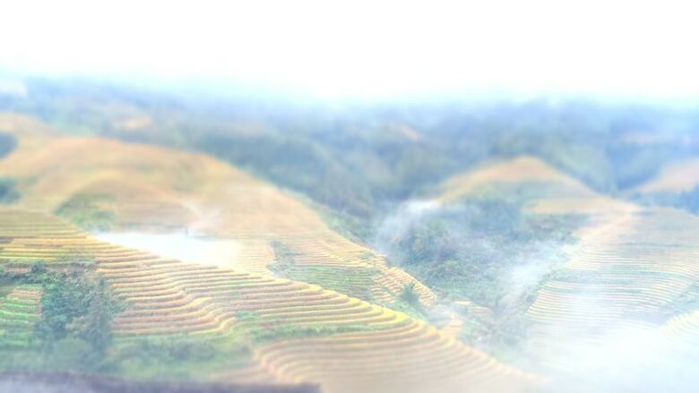 Hotel Xing Jia Yuan-terraced Scenic Field View