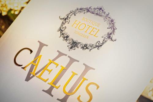 Boutique Hotel Caelus VII
