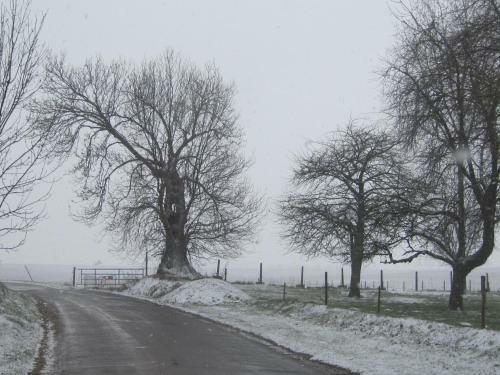 B&B Haspenhoeve