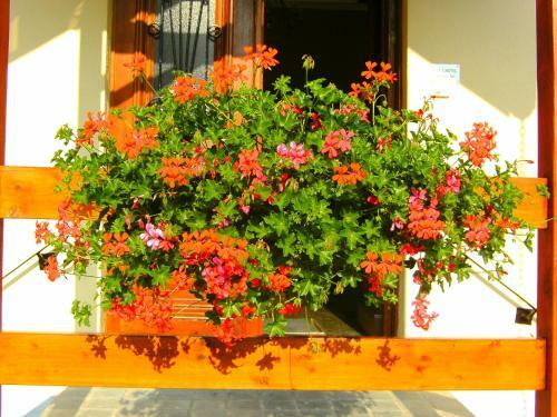 B&B Le Petit Normand