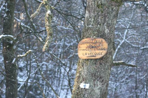 Les Chanterelles