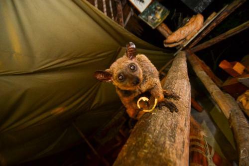 Albergue Stilts Backpackers