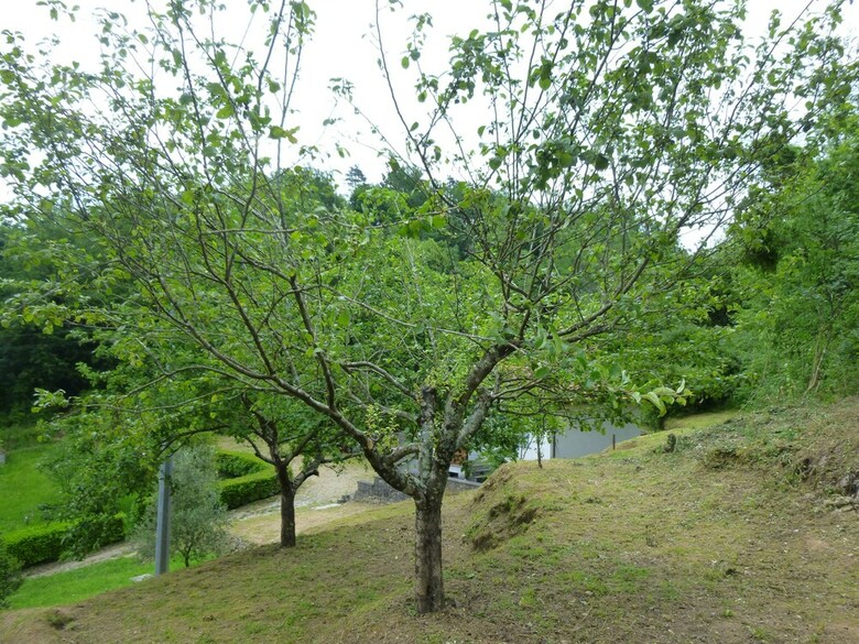 Apartamento La Casetta Di Bianca