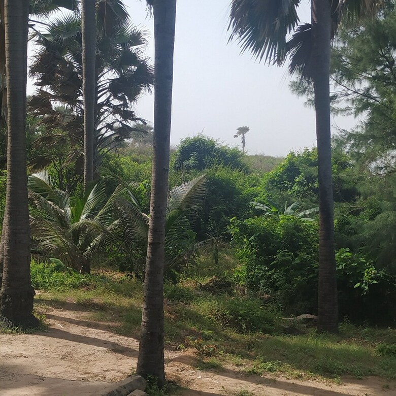Posada Unspoiled South Gambia Paradise