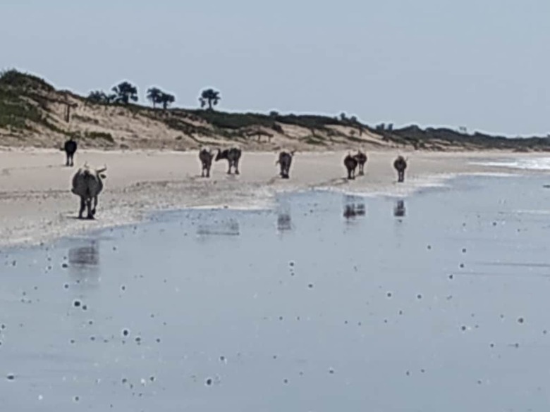 Posada Unspoiled South Gambia Paradise