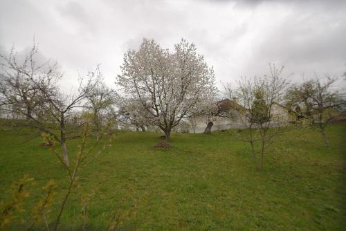 Casa Bunicii - Bran Sohodol