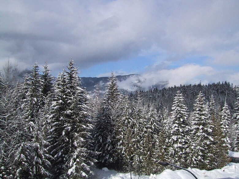 Whistler Alpine Chalet