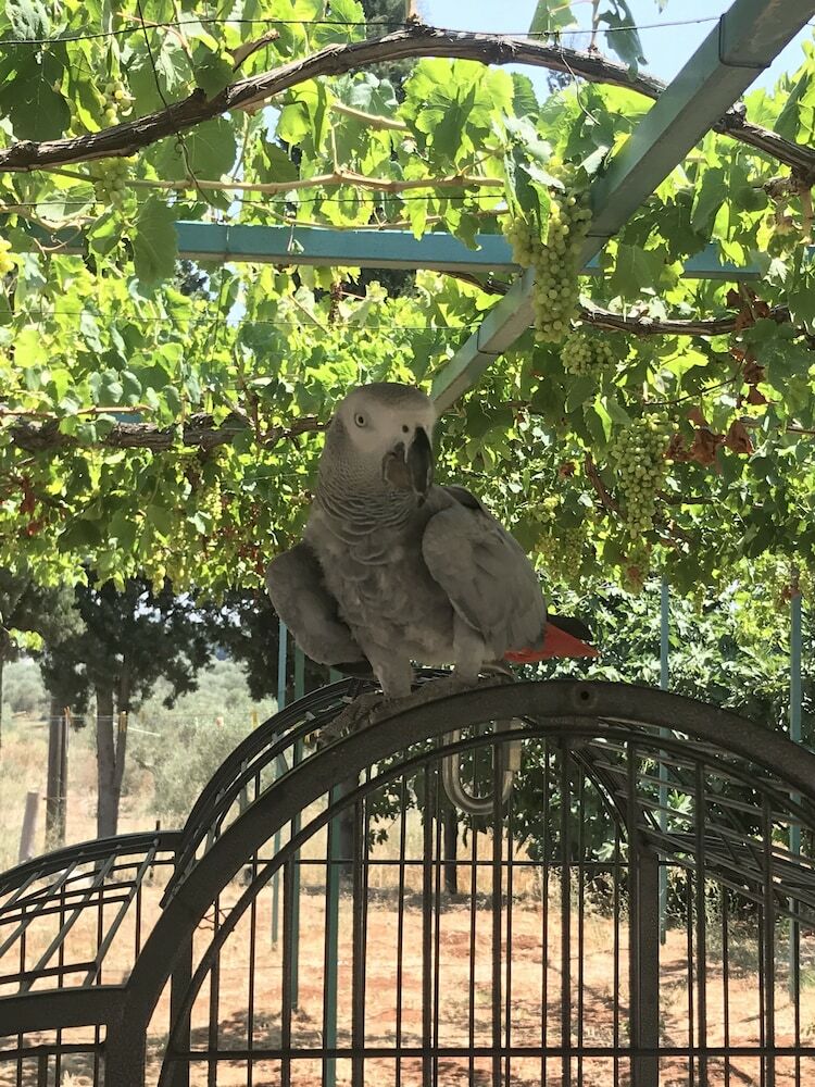 Posada The Ranch - Lodge & Equestrian Center
