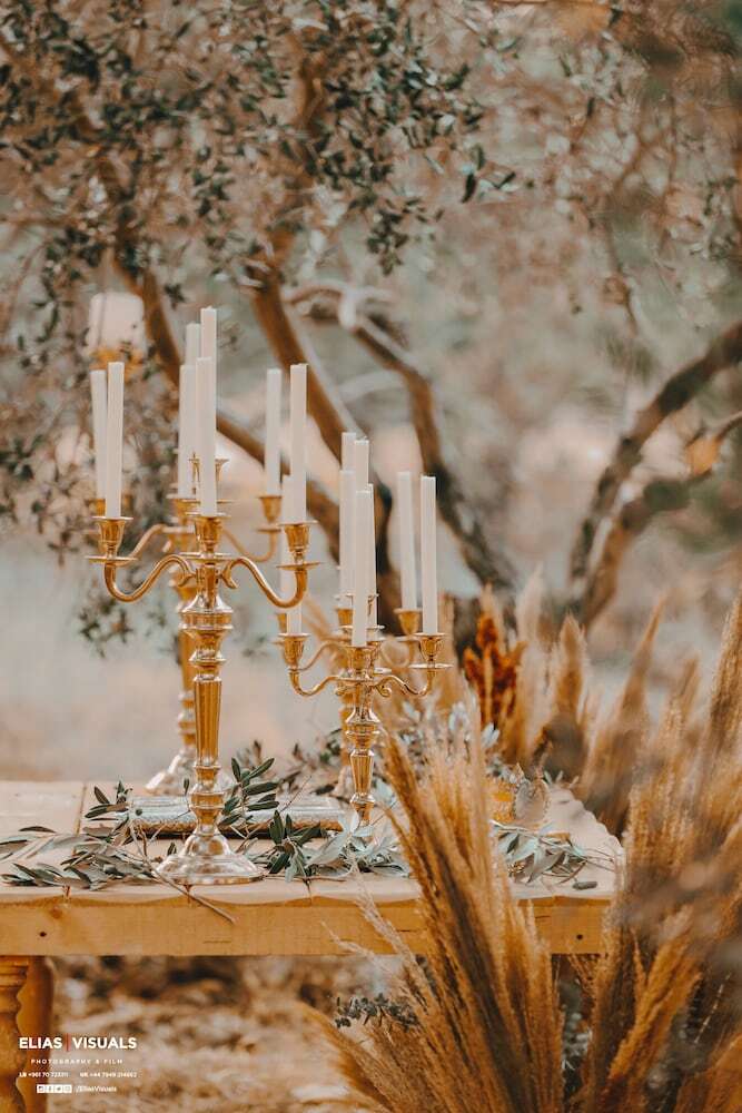 Posada The Ranch - Lodge & Equestrian Center