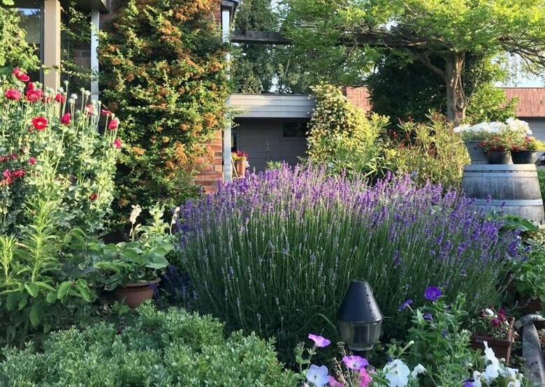 Grysperre B&B