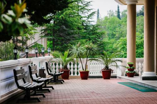 Zeleny Guy Health Resort