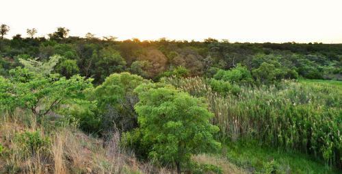 Lodge Qabe Private Safaris