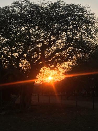 Chinaka Game Lodge