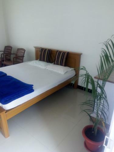 Lodge Dream Nest Resorts