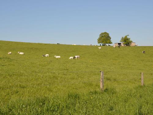 Holiday Home Gentilhommiere Du Broux Durbuy