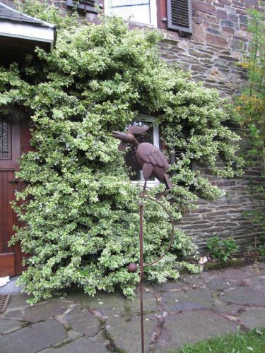 Au Jardin De Mon P�re