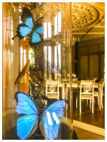 B&B Le Manoir Ivoire