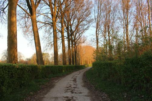 Vakantiewoning Buitenrijk