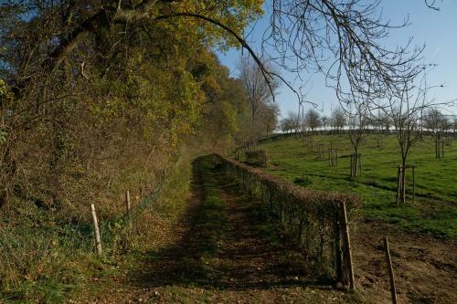 Vakantiewoning Buitenrijk