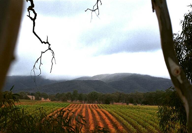 Eco-luxe @ Mount Avoca