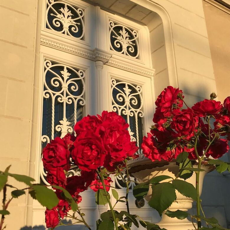 Bed & Breakfast La Maison Leonard
