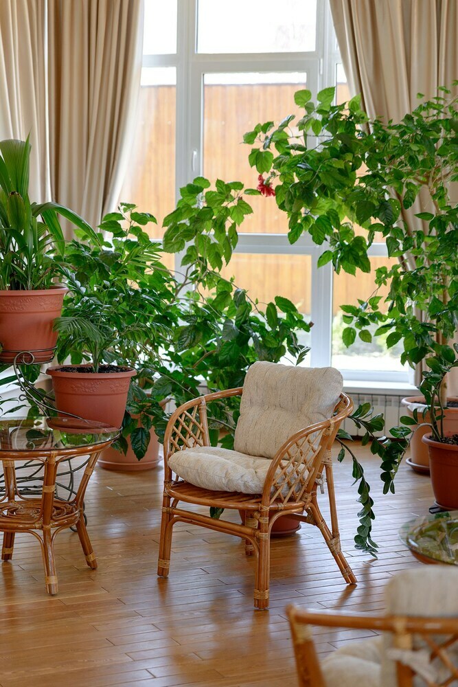 Hotel Villa Muse