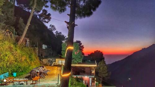 Hotel Safarmaina Resort