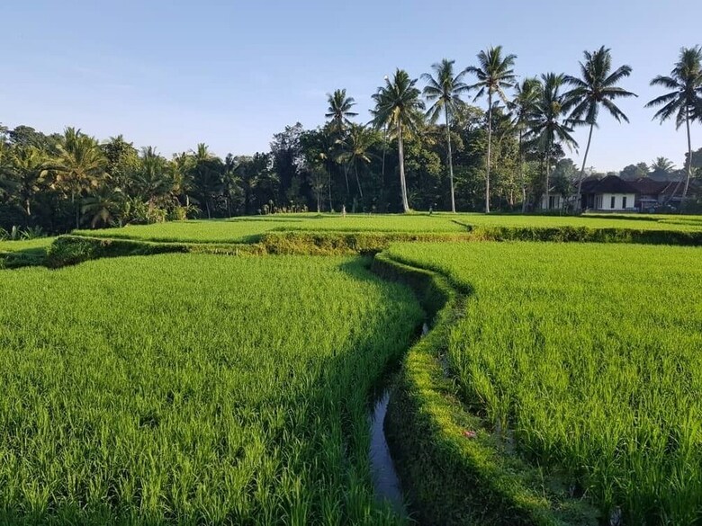 Bed & Breakfast Puri Raya Villa Ubud