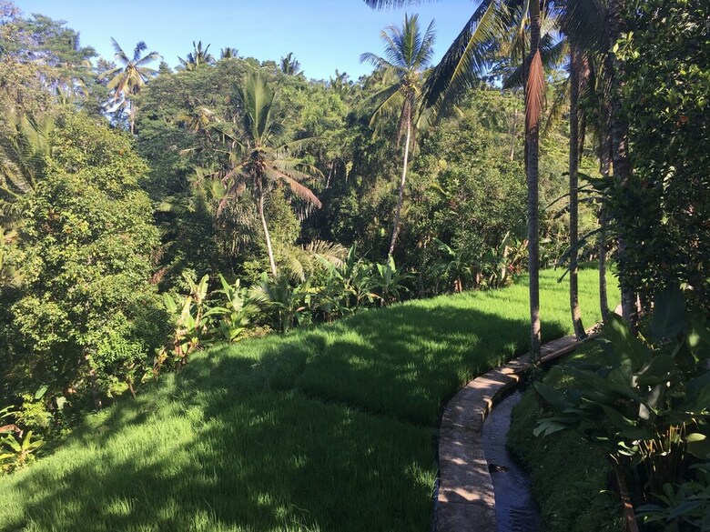 Bed & Breakfast Puri Raya Villa Ubud