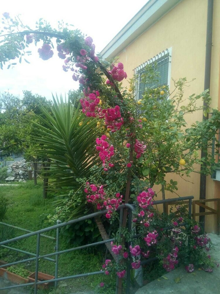 Bed & Breakfast Bellavista
