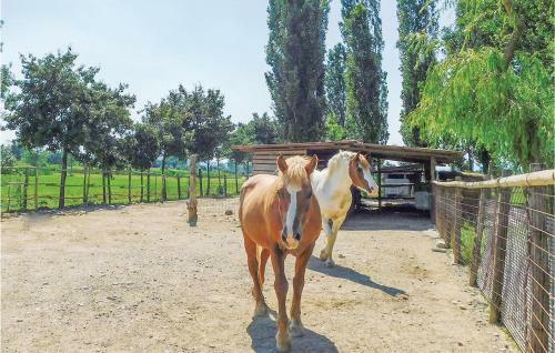 Apartamentos La Rondinella