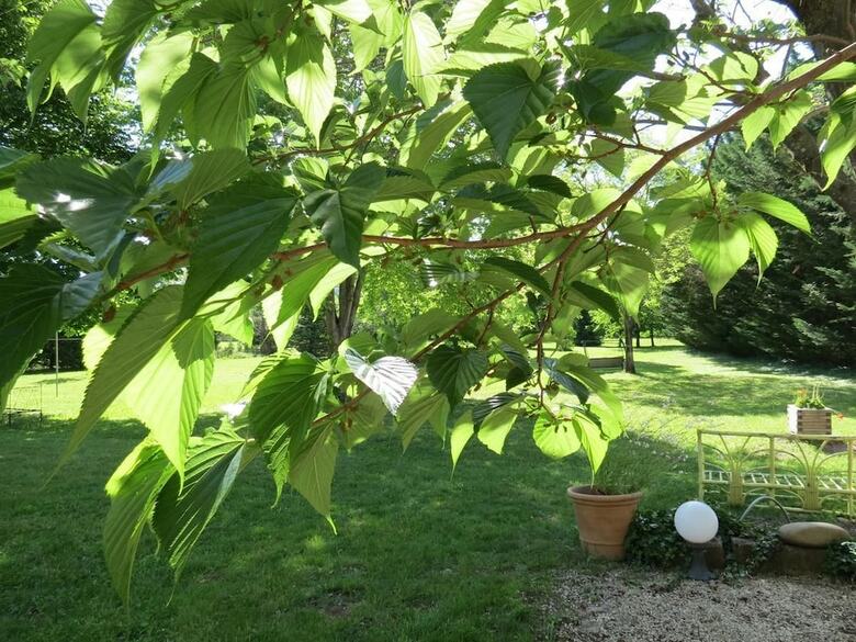 Bed & Breakfast Le Jardin Chambre D'hotes