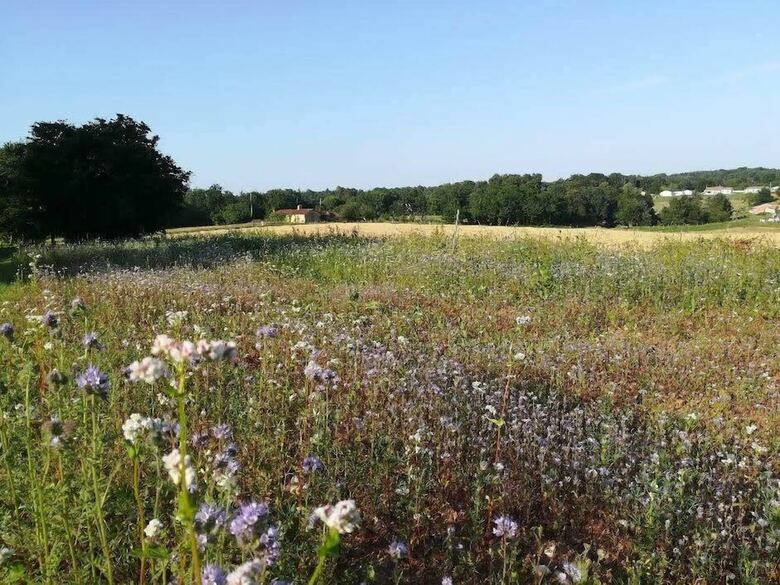 Manoir Dordogne