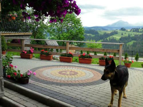 Hostal Pensjonat G�ralska Chata