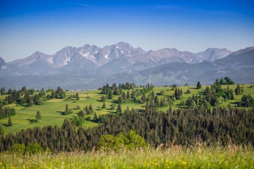 Hostal Pensjonat G�ralska Chata