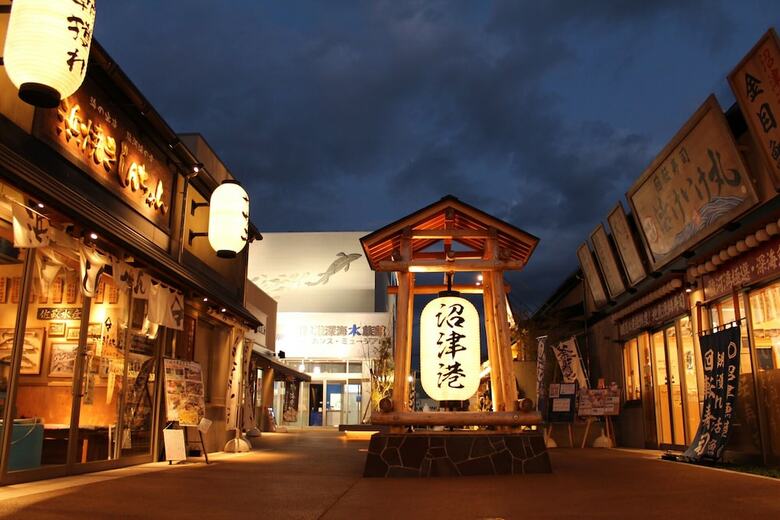 Hotel Minato Oasis Numazu