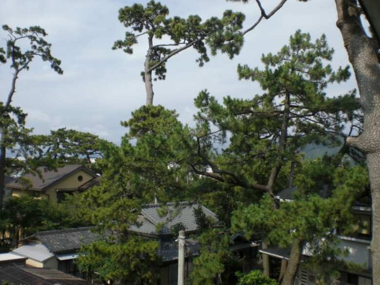 Hotel Minato Oasis Numazu