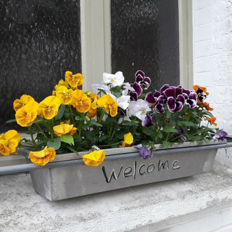 Bed & Breakfast L'atterrissage