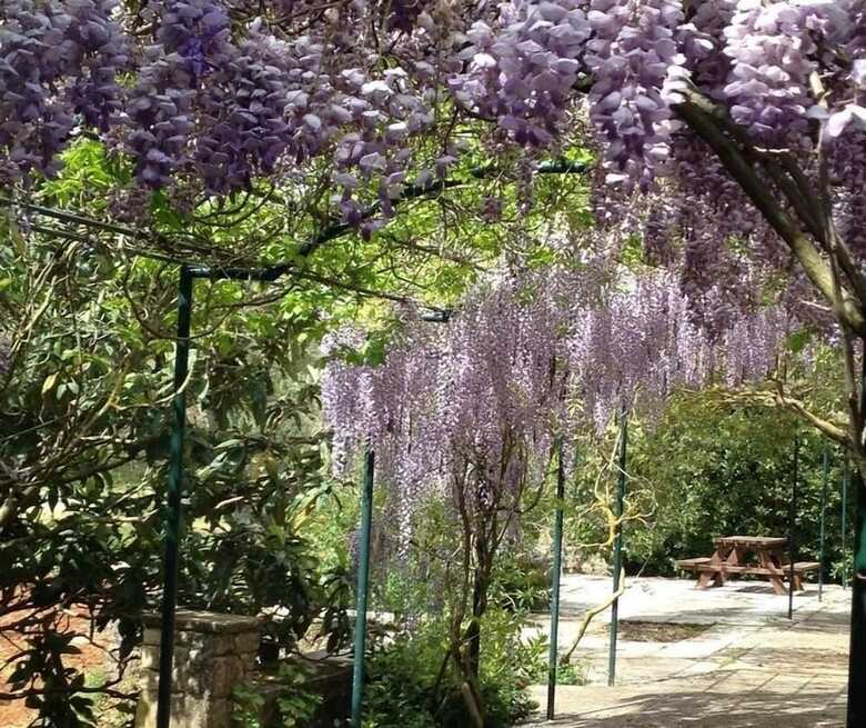 Hotel Gentilini Retreat