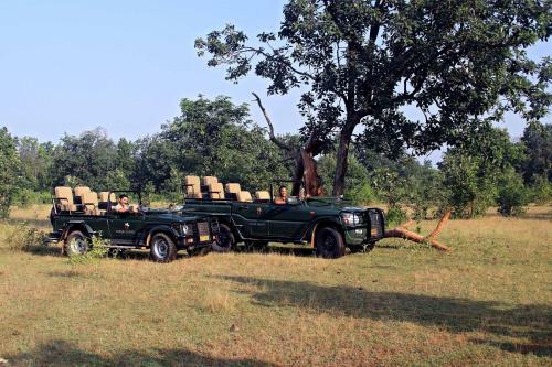 Hotel Samode Safari Lodge