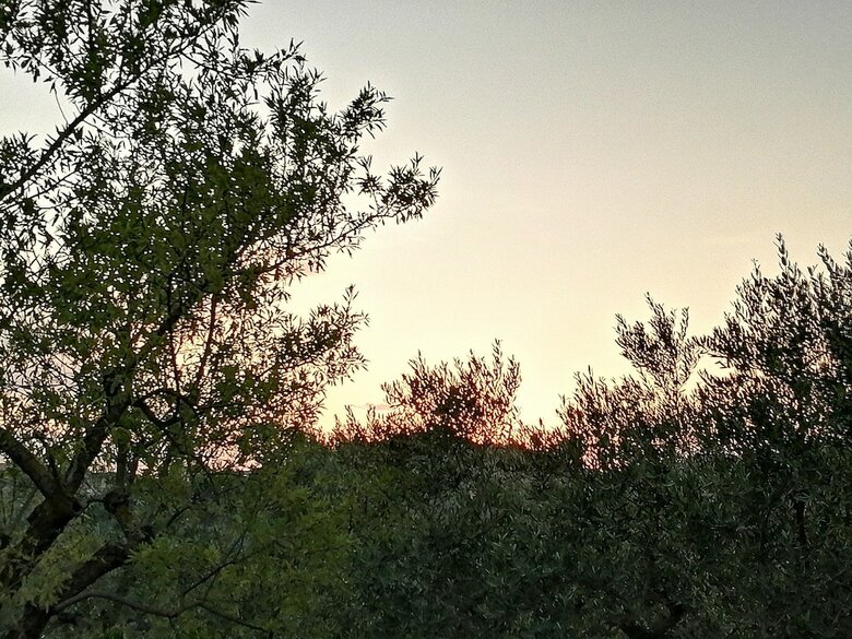 B&B Villa Milena
