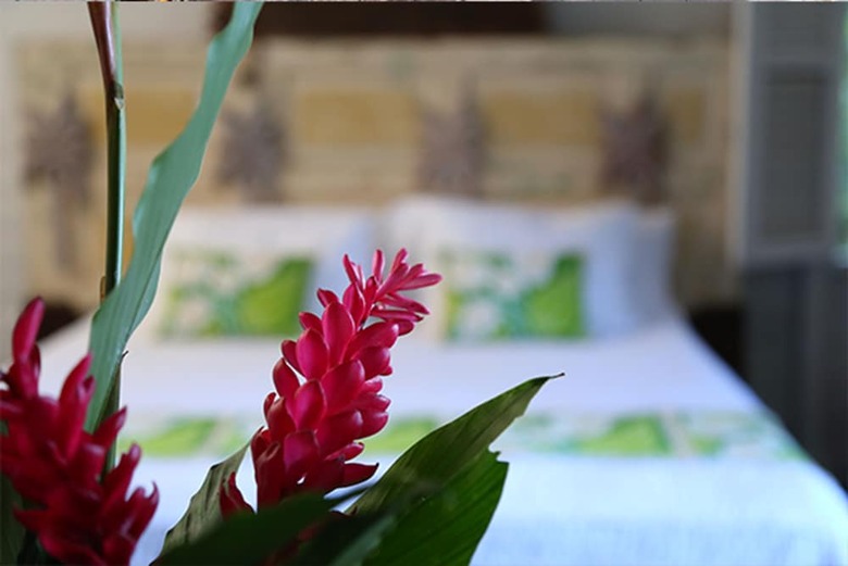 Bed & Breakfast Pink Plantation House